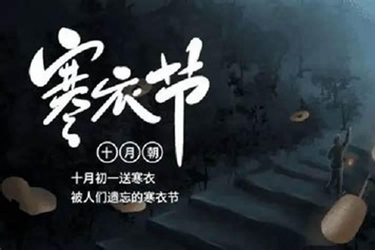 95年属猪的和什么属相犯冲