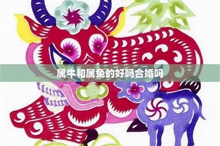 住宅招财五大绝招,轻松布置招财风水局？