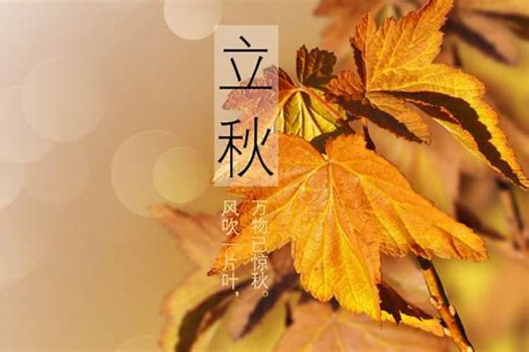 2024年立秋是几点几分几秒钟 立秋习俗