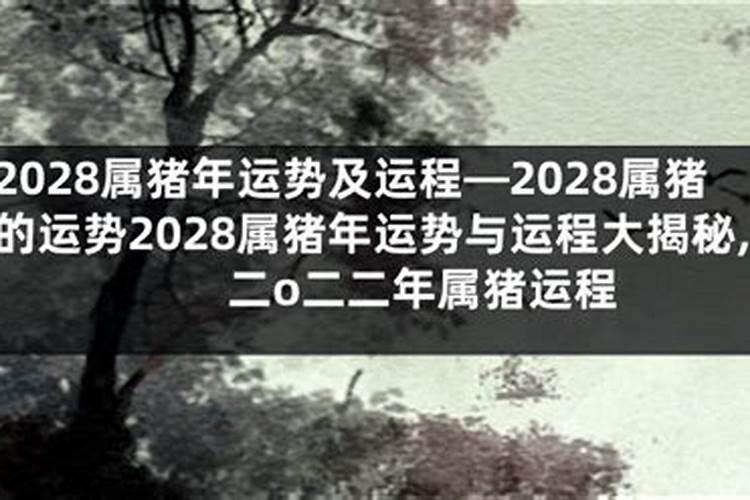 为什么别人都旺桃花？教你家居风水改善桃花运