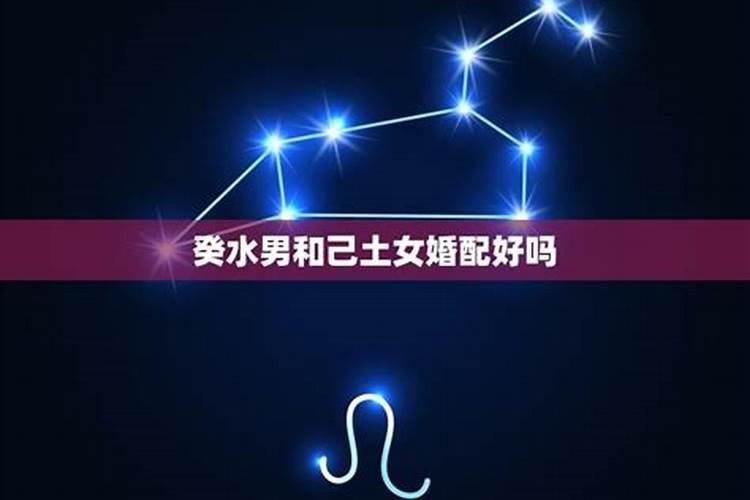 重阳节 英语是什么？