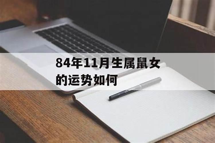 1984年十一月出生的鼠,1984年农历11月得属鼠