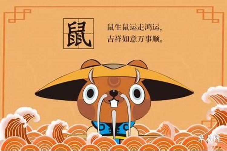 97年属鼠最佳结婚年龄