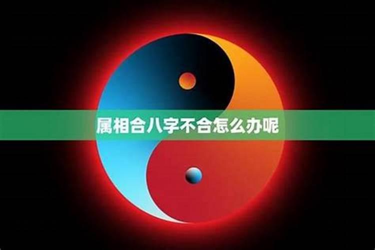 女友说和我八字不合,急急急!!!