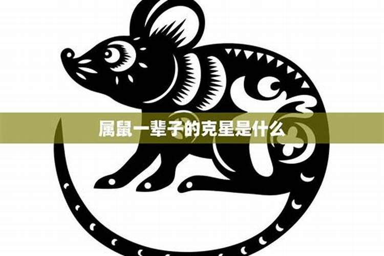 十鼠九苦,哪个月份最苦？