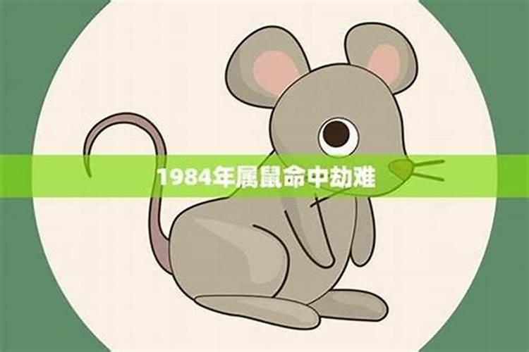 属鼠的女人2025年运势全年