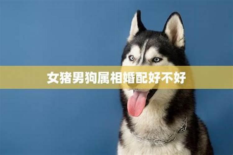 农历1991年8月5日是什么星座？[是农历的哦!】