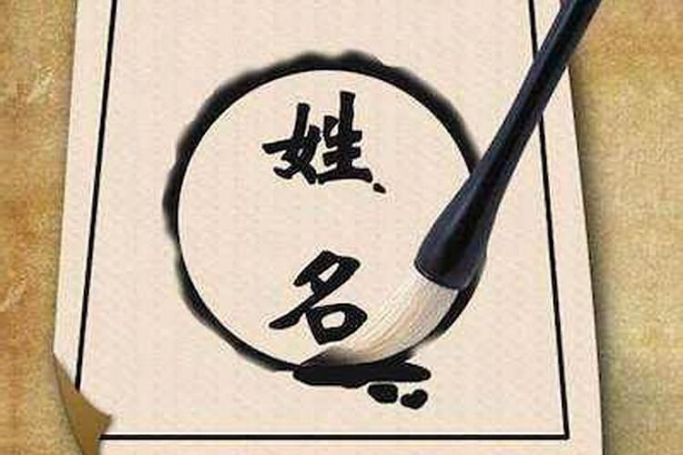 姓胡的女宝宝名字稀少特别的属龙姓胡的得分100的名字