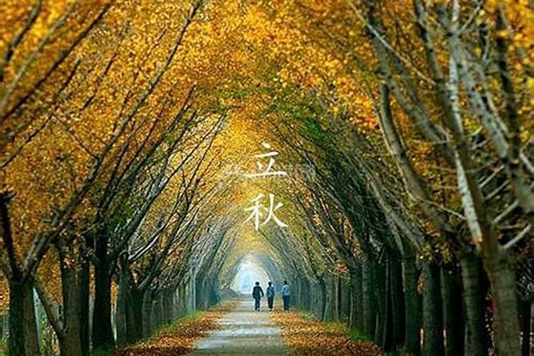 属狗十二月出生的是什么命,属狗未来3个月将发生大事