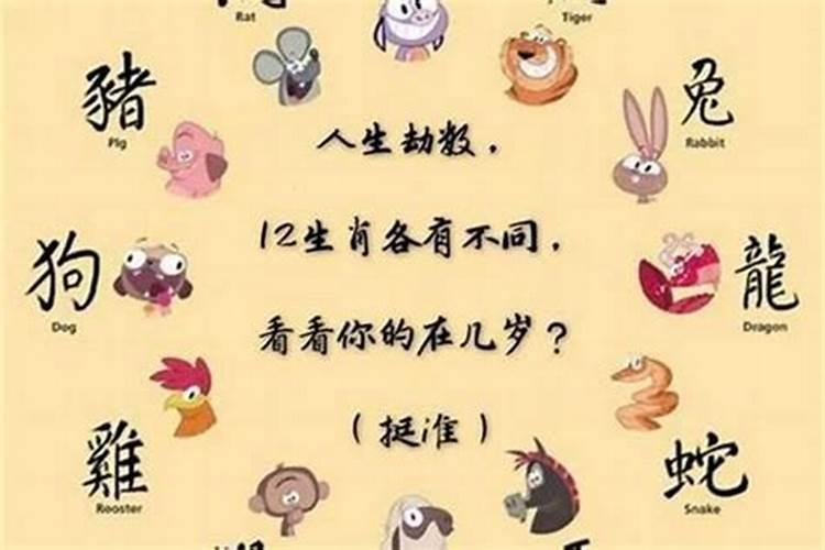 中年女人梦见别人死了是什么预兆