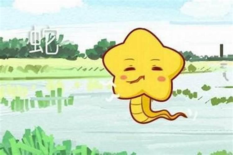 属猪女与属蛇男的合不合
