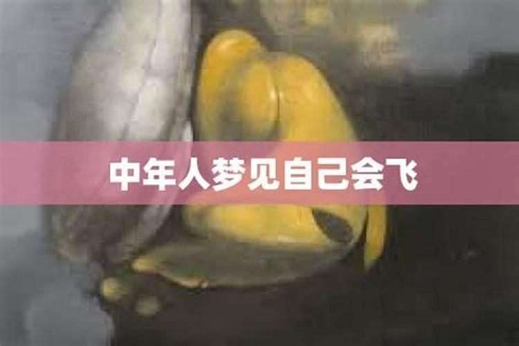 做梦梦见自己会飞是什么意思