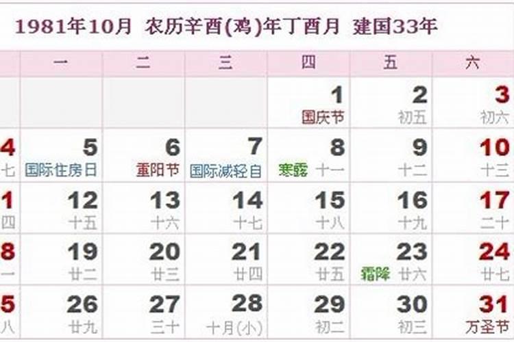 属兔人2025年综合运势