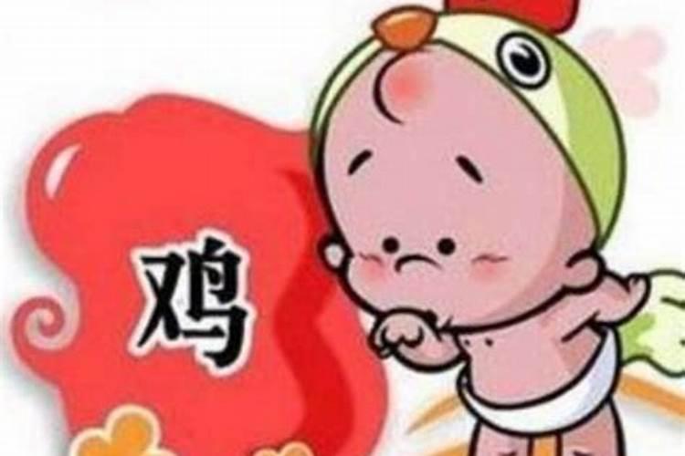 属兔男和属鸡女的婚姻配吗