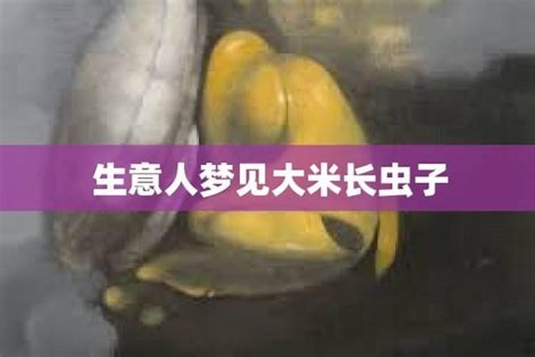 生肖蛇2025年运势及运程如何