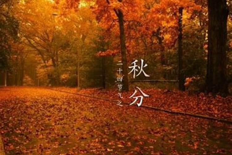 秋处露秋寒霜降意思