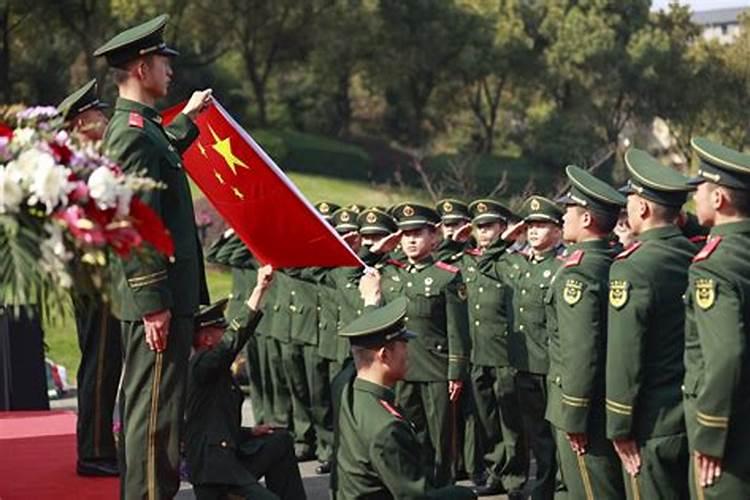 梦见大白鹅什么意思