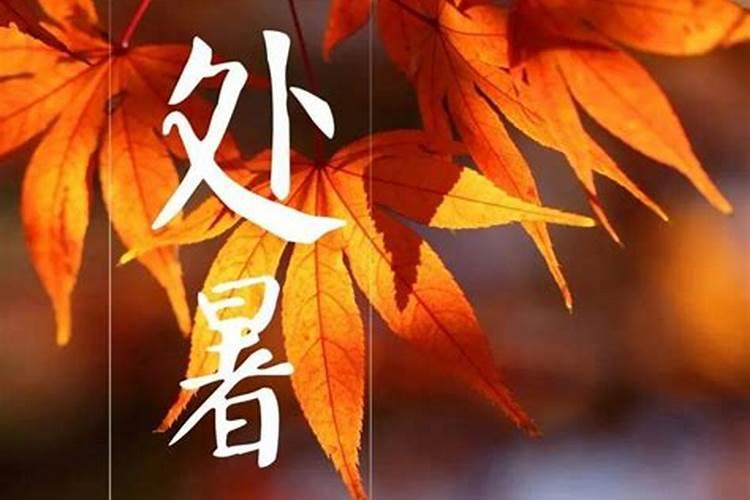 玉林狗肉节什么时间