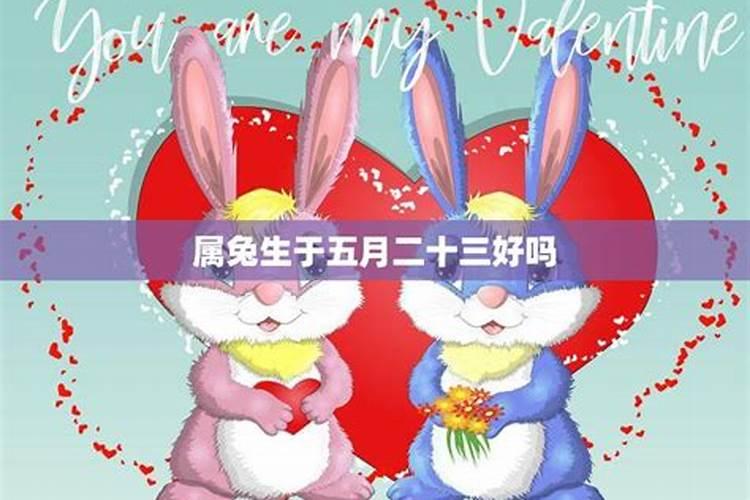 2025年属兔的犯太岁吗