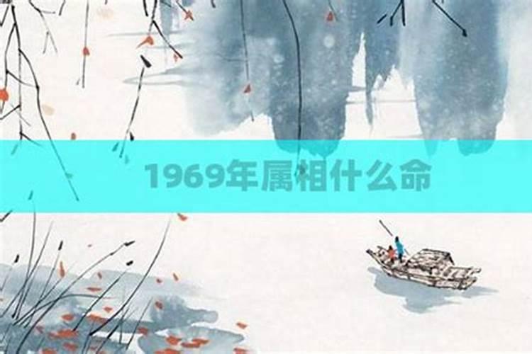 1969年属鸡人2024年运程如何