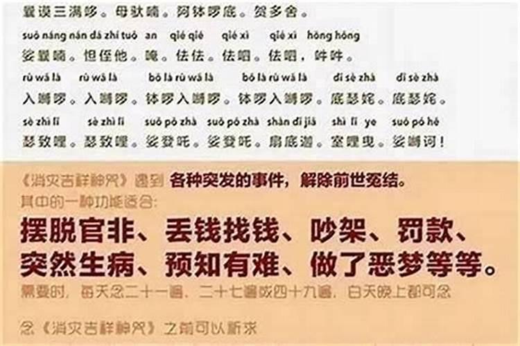 2025年是属猴人最大转变