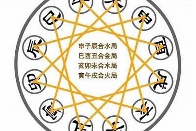 猪的三合和六个合生肖是什么？