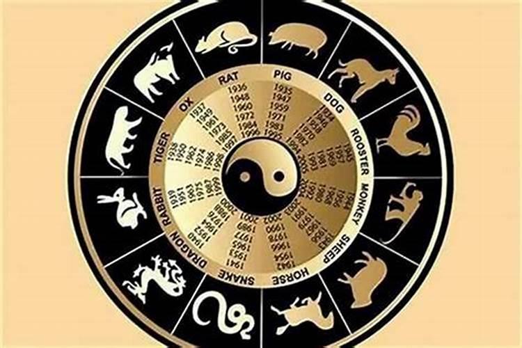 1982年狗2025年运势