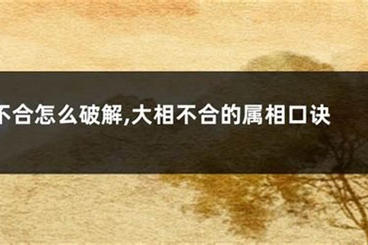 属相不合但八字特别合可以在一起吗 属相不合带来的影响？