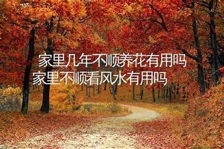 不知道出生时辰怎么算八字