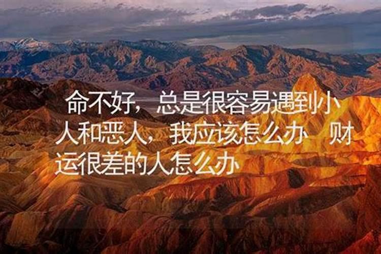 1966年属马的是什么命 1966年属马的命运怎么样？