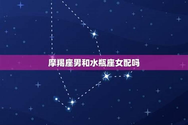 属鸡和属狗的合得来吗？
