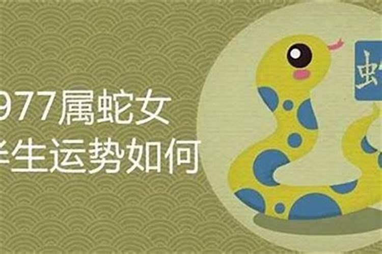 属狗的几月份出生最好命