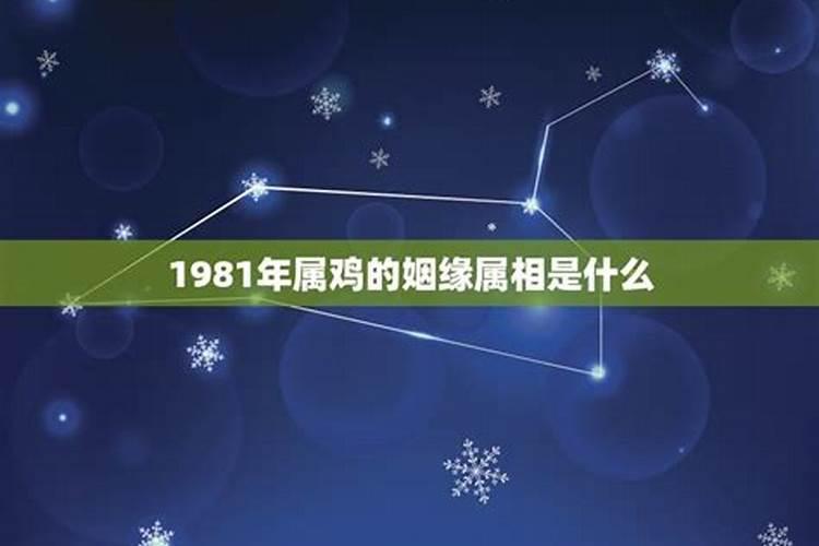 81年属鸡人一生三大坎