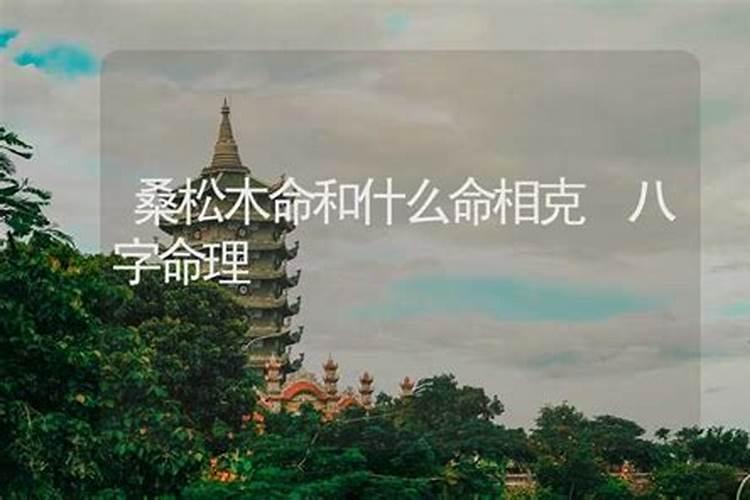 沙中土与桑松木命合婚