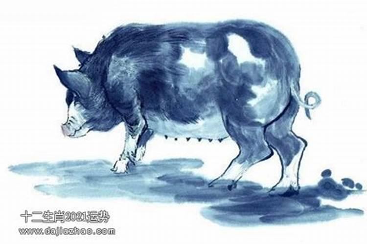 91年属羊人命运坎坷,婚姻事业都不顺怎么办