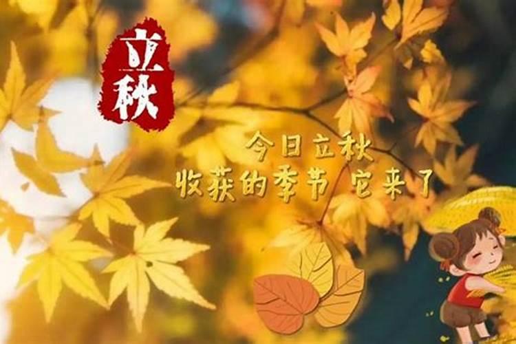 69年属鸡人在2025年的全年运势