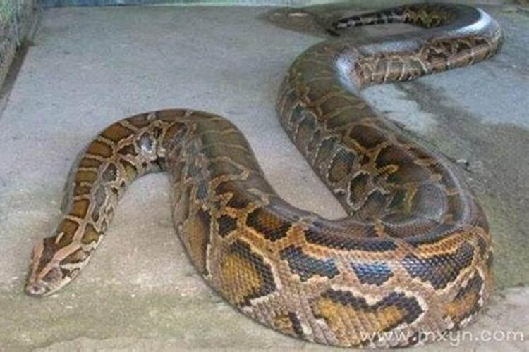 烧纸的讲究