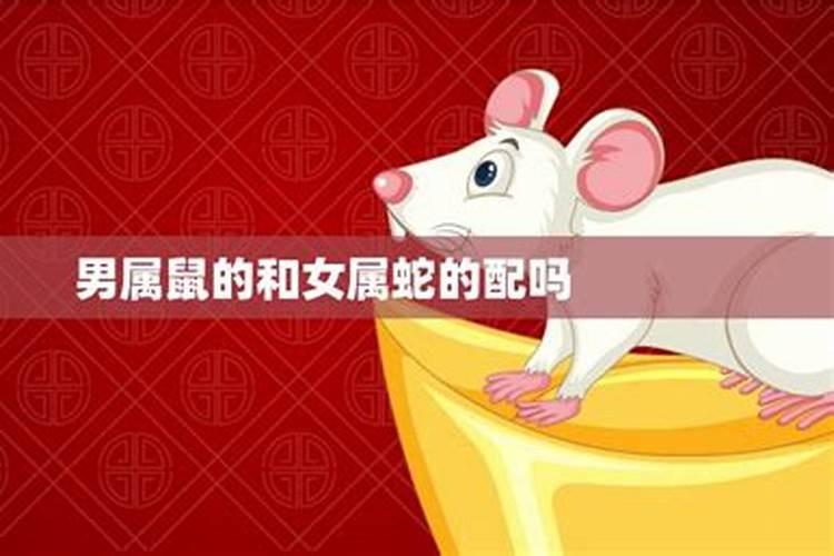 八字算命可信度多高？100%？