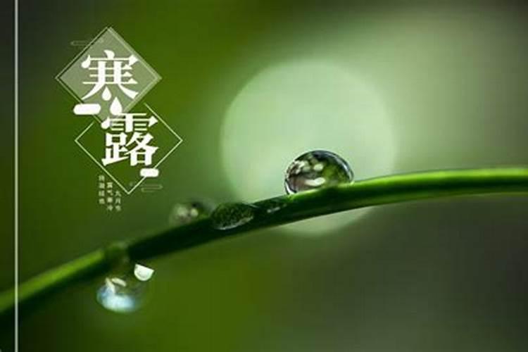 寒衣节出生的人命运怎么样