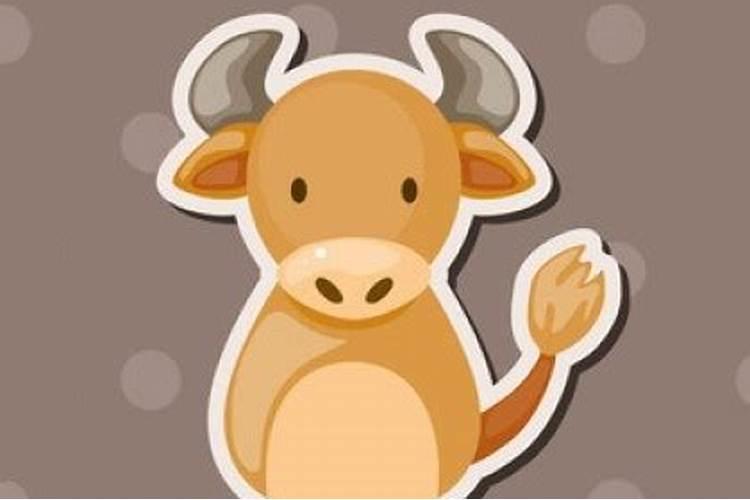 本命年不适宜结婚与生孩子是真的吗？