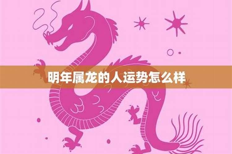 属龙2025运势及运程详解 属龙人2025年每月运势
