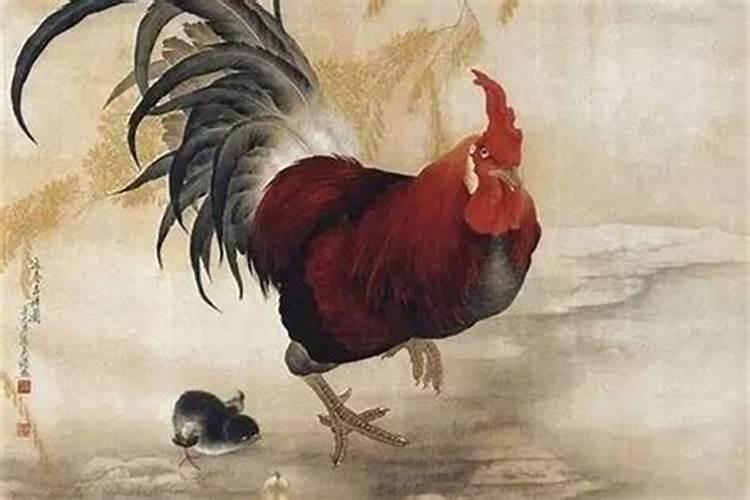 1969生肖鸡最倒霉的年龄 69年属鸡人终身灾难怎么破解