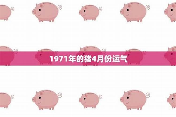 属猪人4月份运势如何