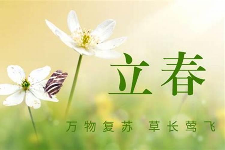 树木种植时间表种植时间表