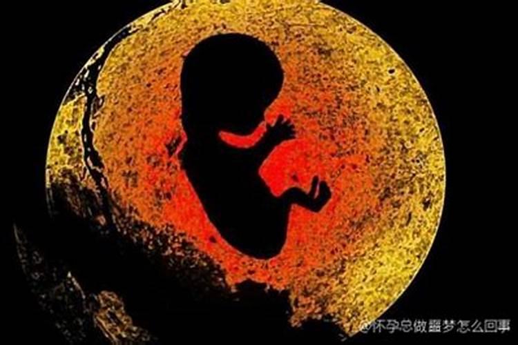 71年卯时猪和87年戌时兔配吗