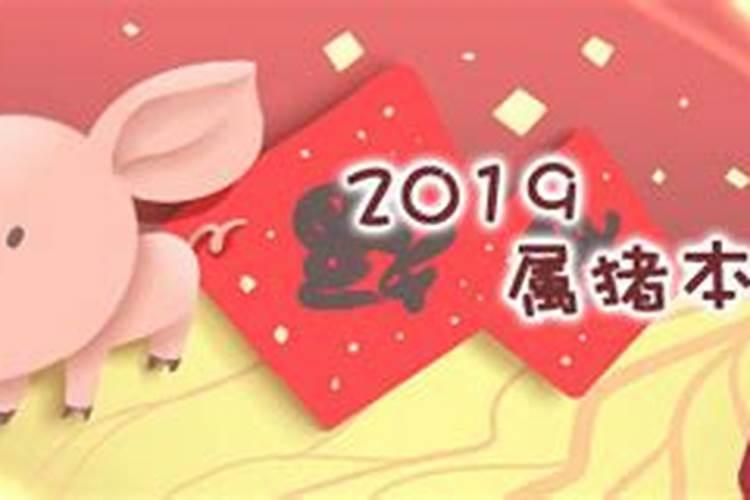 属猪的本命年要小心什么？