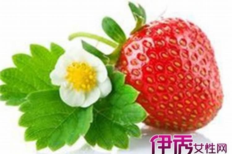 十二生肖运程2025年运势运程