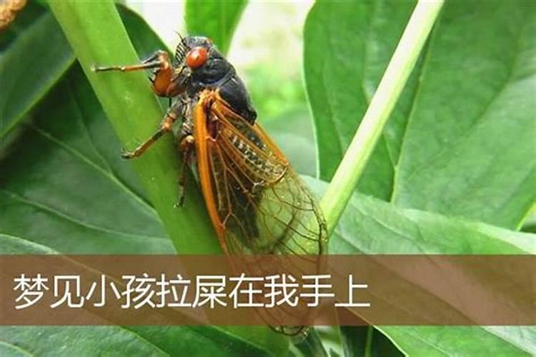 2025年属蛇人的全年运势女性