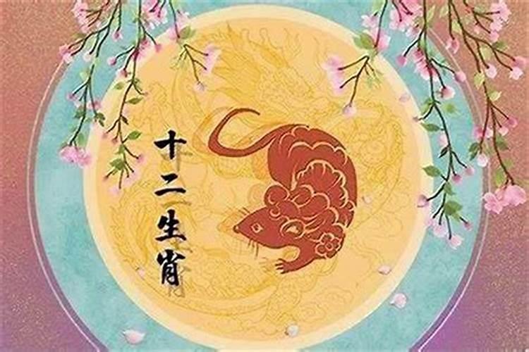 鼠的运势2025年运势详解