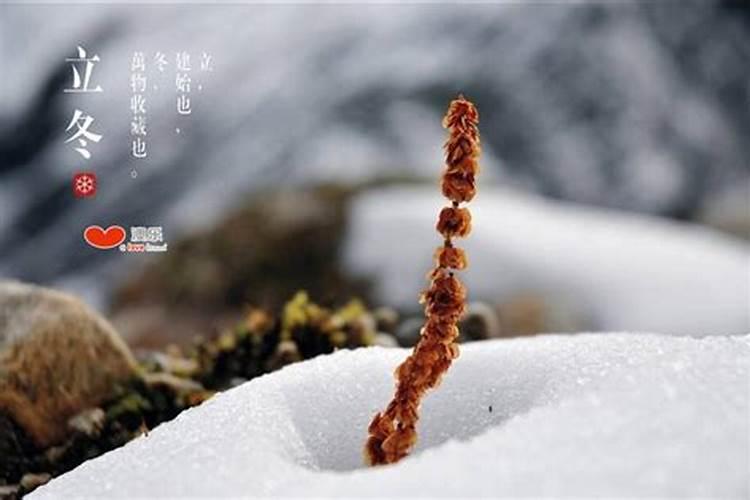 立冬有哪些注意事项